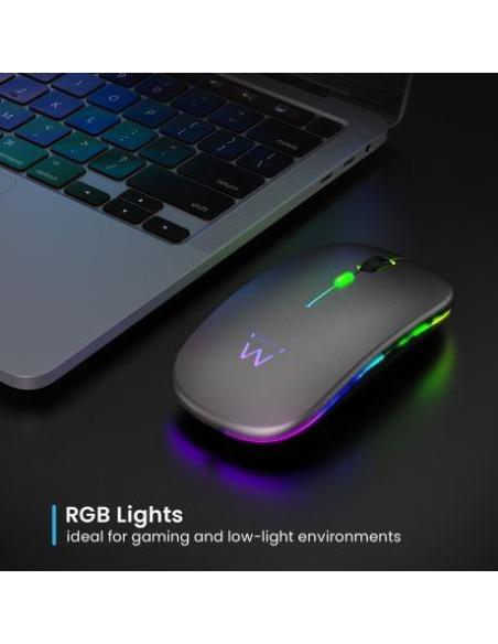 Ewent EW3242 Ratón Inalámbrico USB-A 1600 DPI