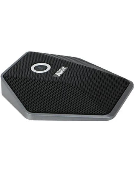 AVer 60U8D00000AE Micrófono Extendido para VB342+ Incluyendo un Cable de 10M Negro