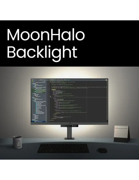 Monitor para programación Benq RD320 9H.LMTLA.TBE