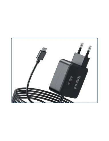 Iggual IGG320655 Adaptador Corriente AC/DC 12V 2.5A Monitor