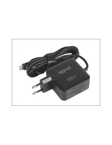 Adaptador de corriente Iggual IGG320655