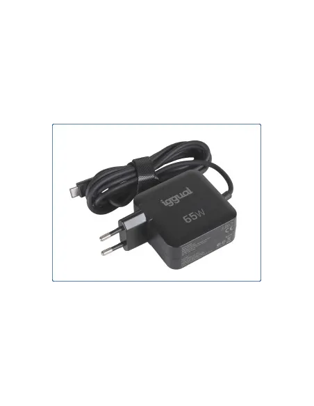 Adaptador de corriente Iggual IGG320655