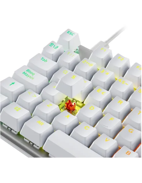 Teclado Gaming Newskill Serike TKL V2 Blanco