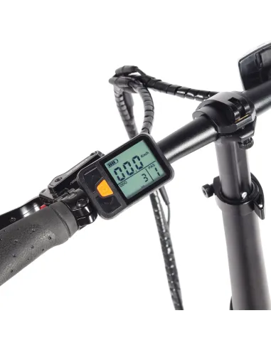 Bicicleta eléctrica Youin BK1900