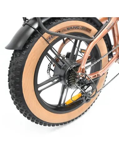 Bicicleta eléctrica - Youin Dallas FAT BK1650