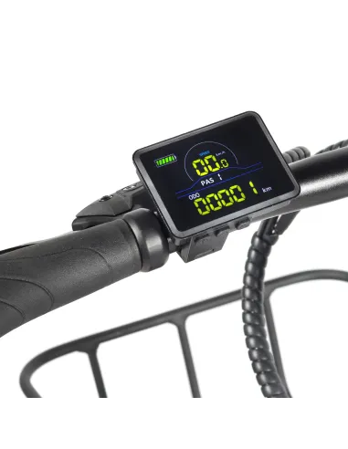 Bicicleta eléctrica - Youin Dallas FAT BK1650