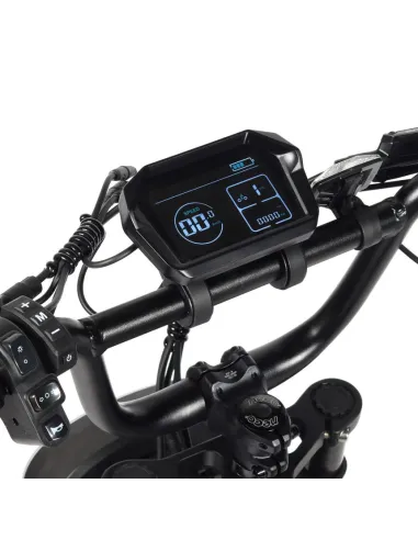 Bicicleta eléctrica Youin Miami Urban Style Fat 2 BK7000