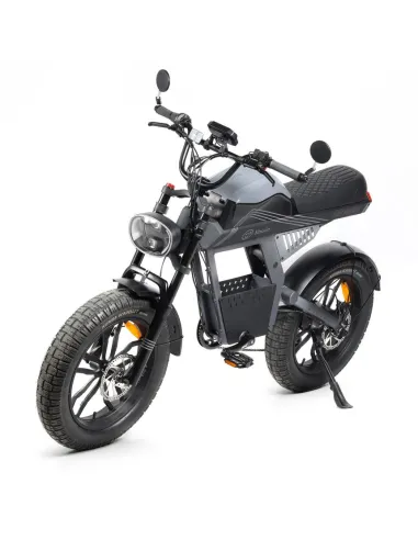 Bicicleta Eléctrica Youin Las Vegas BK7100 Urban Style Fat