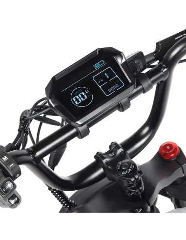 Bicicleta Eléctrica Youin Las Vegas BK7100 Urban Style Fat