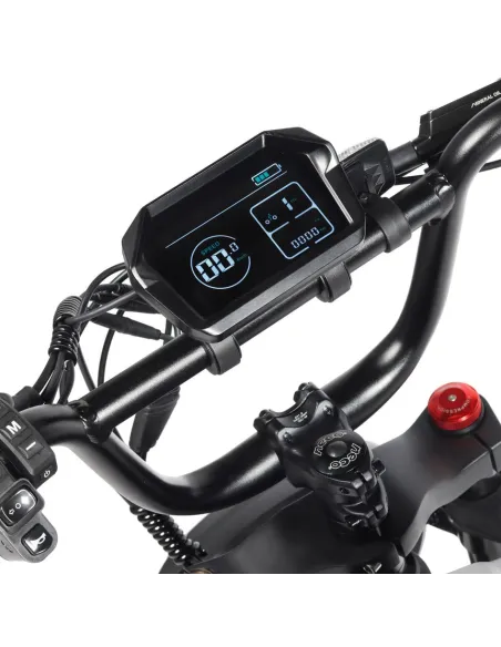 Bicicleta Eléctrica Youin Las Vegas BK7100 Urban Style Fat