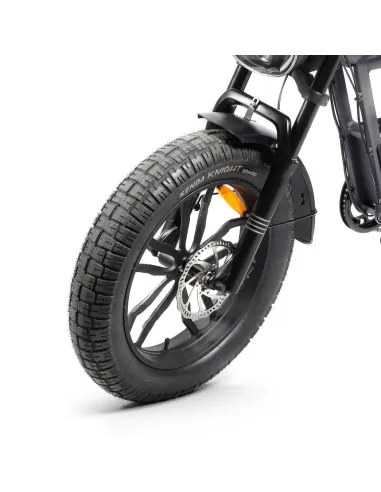 Bicicleta Eléctrica Youin Las Vegas BK7100 Urban Style Fat