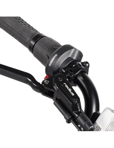 Bicicleta Eléctrica Youin Las Vegas BK7100 Urban Style Fat