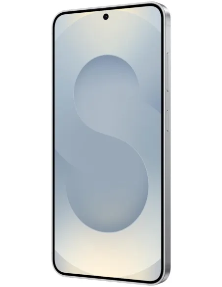 Samsung Galaxy S25 Enterprise Edition 5G 12/256GB Plata
