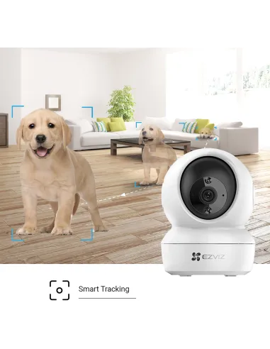 Cámara de Videovigilancia Ezviz CS-C6N-D0-8B4WF