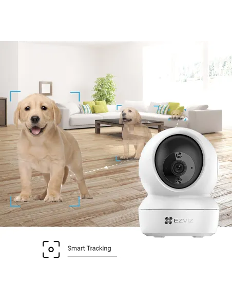Cámara de Videovigilancia Ezviz CS-C6N-D0-8B4WF