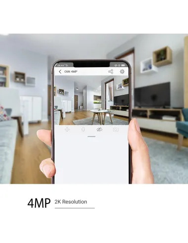 Cámara de Videovigilancia Ezviz CS-C6N-D0-8B4WF