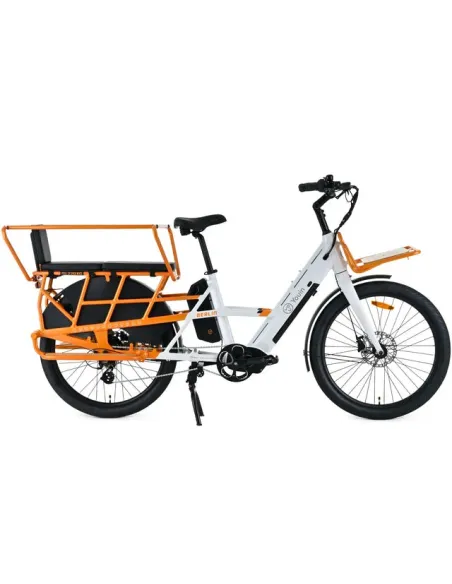 Bicicleta Eléctrica de Carga Youin Berlin BK6100