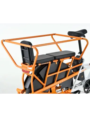 Bicicleta Eléctrica de Carga Youin Berlin BK6100