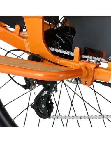 Bicicleta Eléctrica de Carga Youin Berlin BK6100