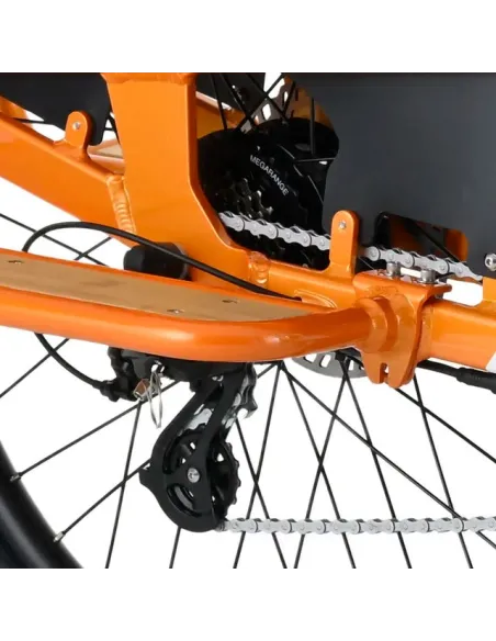 Bicicleta Eléctrica de Carga Youin Berlin BK6100