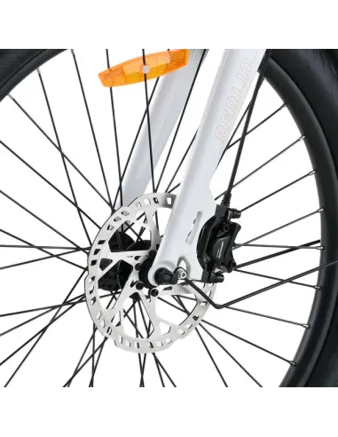 Bicicleta Eléctrica de Carga Youin Berlin BK6100