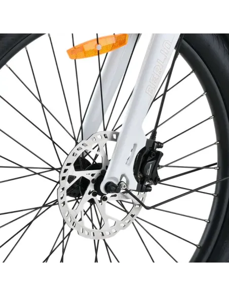 Bicicleta Eléctrica de Carga Youin Berlin BK6100