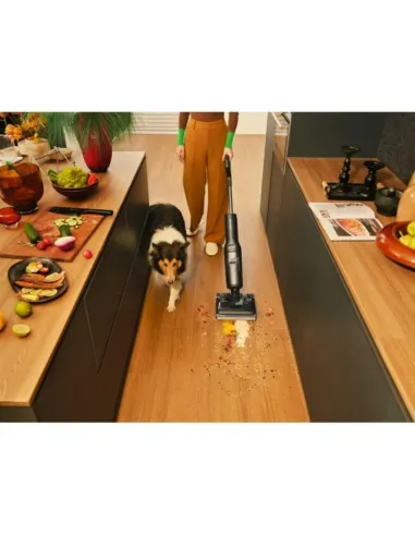 Aspirador Escoba en Seco y Húmedo Roborock F25 Negro