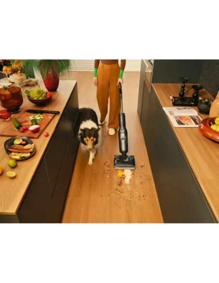 Aspirador Escoba en Seco y Húmedo Roborock F25 Negro