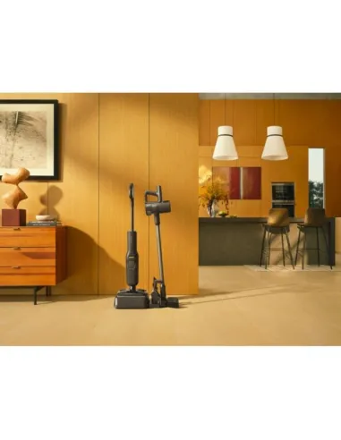 Aspirador Escoba en Seco y Húmedo Roborock F25 Negro