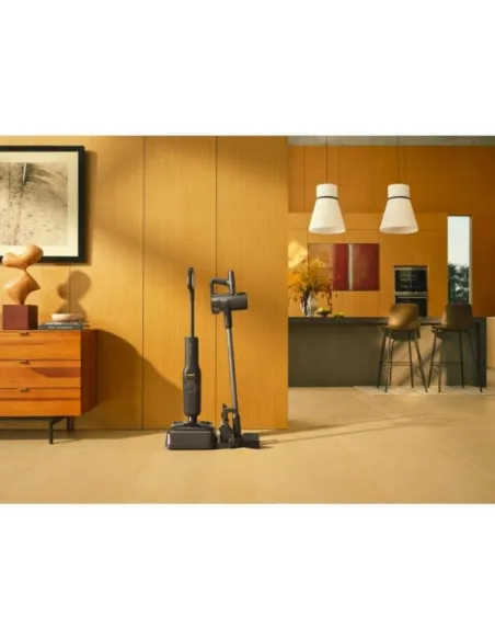 Aspirador Escoba en Seco y Húmedo Roborock F25 Negro