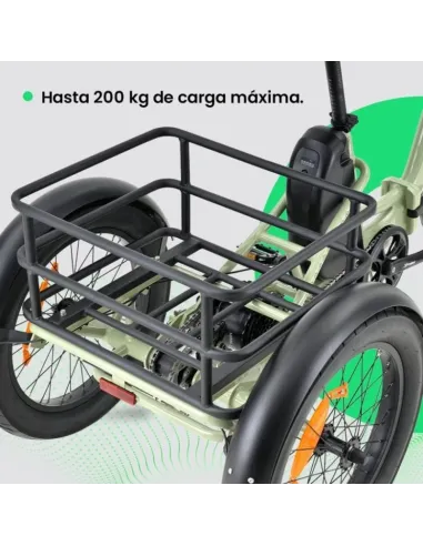 Bicicleta eléctrica Youin Dover BK6000