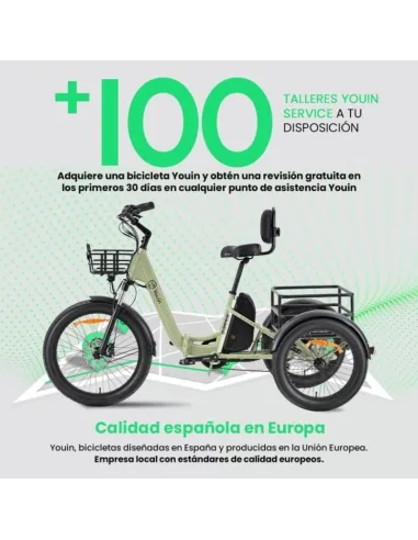 Bicicleta eléctrica Youin Dover BK6000