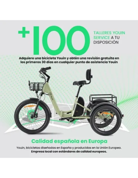 Bicicleta eléctrica Youin Dover BK6000