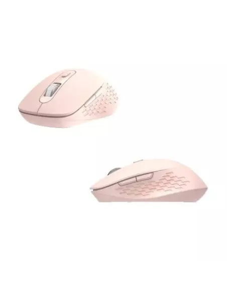 Ratón inalámbrico Nilox NXMODWI03