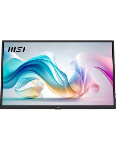 Monitor Portátil MSI PRO MP165 E6