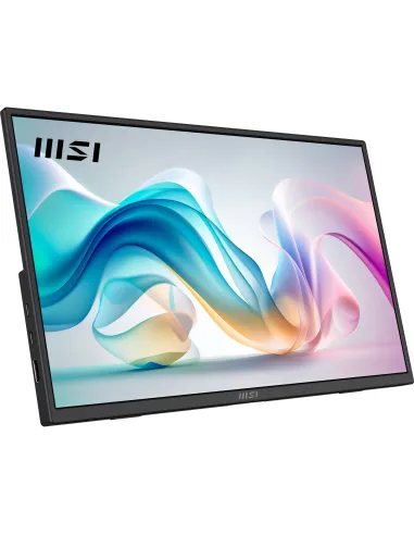 Monitor Portátil MSI PRO MP165 E6
