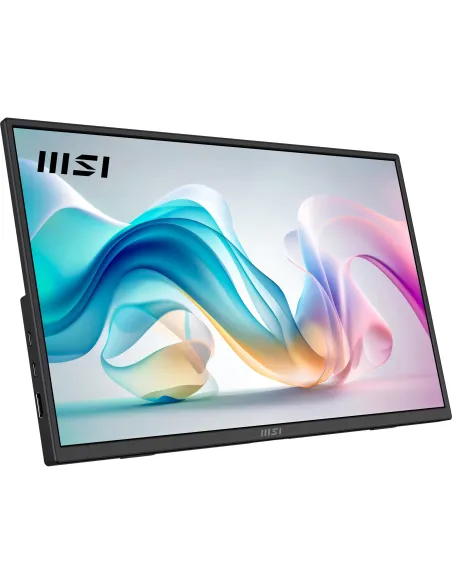 Monitor Portátil MSI PRO MP165 E6