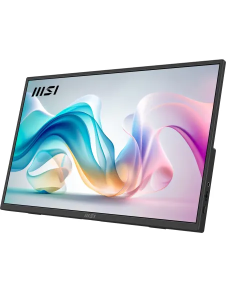 Monitor Portátil MSI PRO MP165 E6