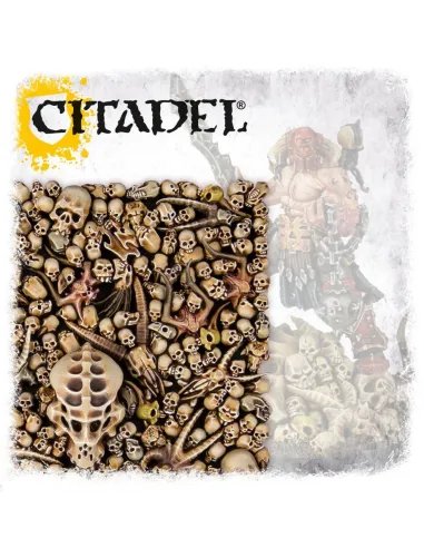 Citadel Skulls
