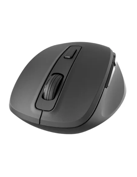 Ratón Inalámbrico Iggual ERGO-SILENT-6D Negro