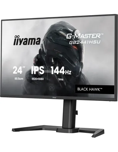 Monitor Iiyama G-master GB2441HSU-B1