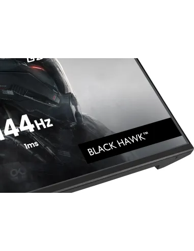 Monitor Iiyama G-master GB2441HSU-B1