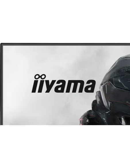 Monitor Iiyama G-master GB2441HSU-B1
