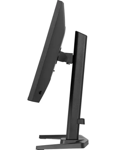 Monitor Iiyama G-master GB2441HSU-B1