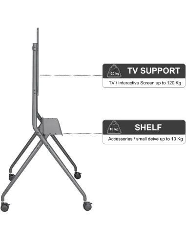 Ewent EW1542 Soporte de Suelo con Ruedas para TV 50 - 86" Máx. 120Kg Gris