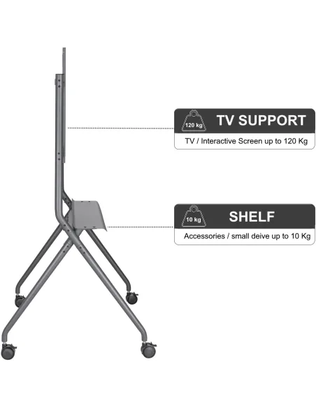 Ewent EW1542 Soporte de Suelo con Ruedas para TV 50 - 86" Máx. 120Kg Gris