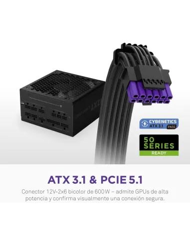 Fuente de Alimentación NZXT C1000 Gold Core Negra