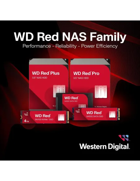 Disco Duro HDD WD Red Plus WD100EFGX 10TB