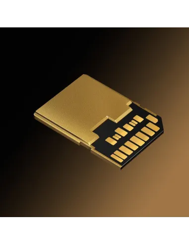 Tarjeta Lexar Professional Armor Gold Pro SDXC UHS II 256GB