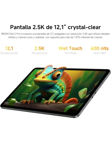 Xiaomi Redmi Pad 2 Pro 12.1" WiFi 8GB/256GB Gris Grafito